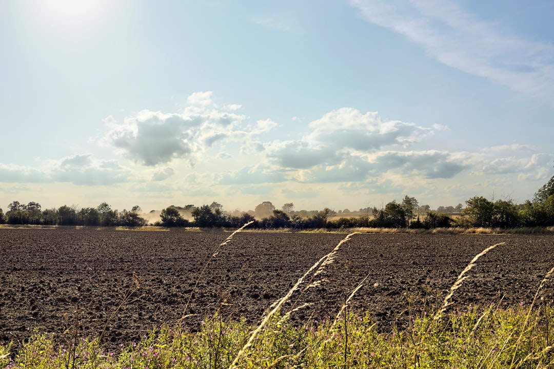 Suffolk city scene